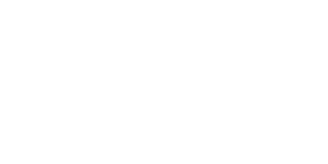 大阪大学フェローシップ創設事業 : 超階層マテリアルサイエンスプログラム